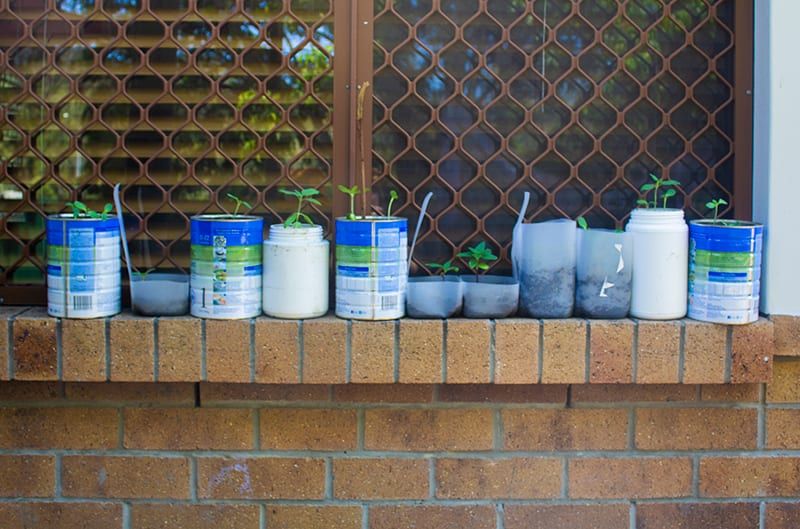 Growing plants, planting seeds. Nature play. Childcare, kindy, Montessori, Gold Coast, Warwick, Jindabyne.