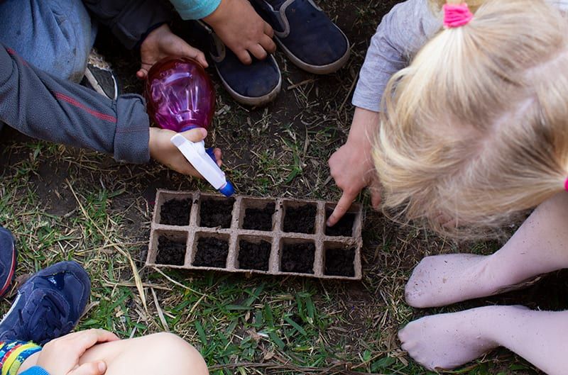 Growing plants, planting seeds. Nature play. Childcare, kindy, Montessori, Gold Coast, Warwick, Jindabyne.