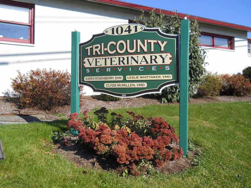 Quality Pet Medical & Surgical Services Loysville, PA TriCounty Veterinary Services