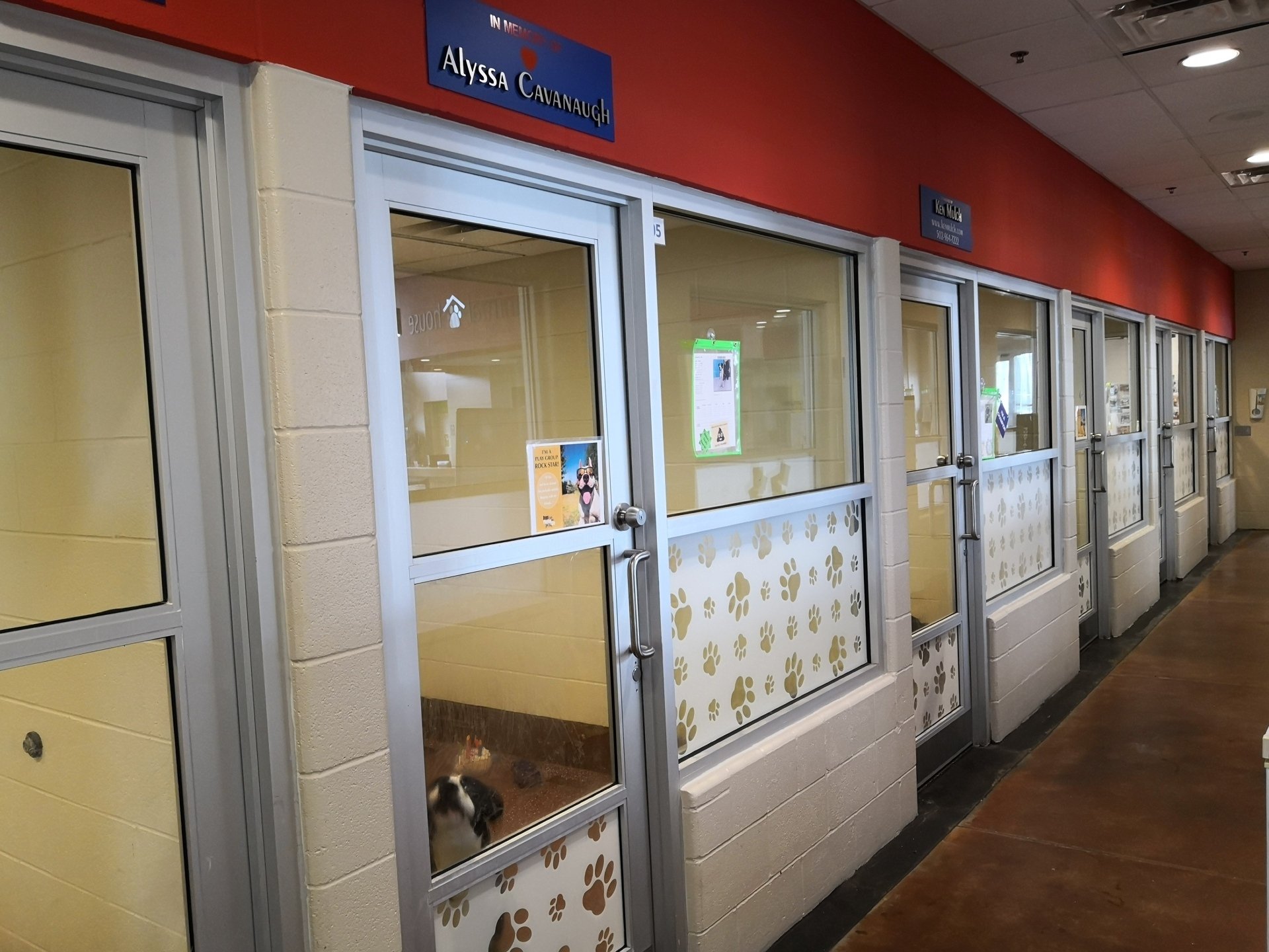 Friends of Metro Animal Services Louisville, KY