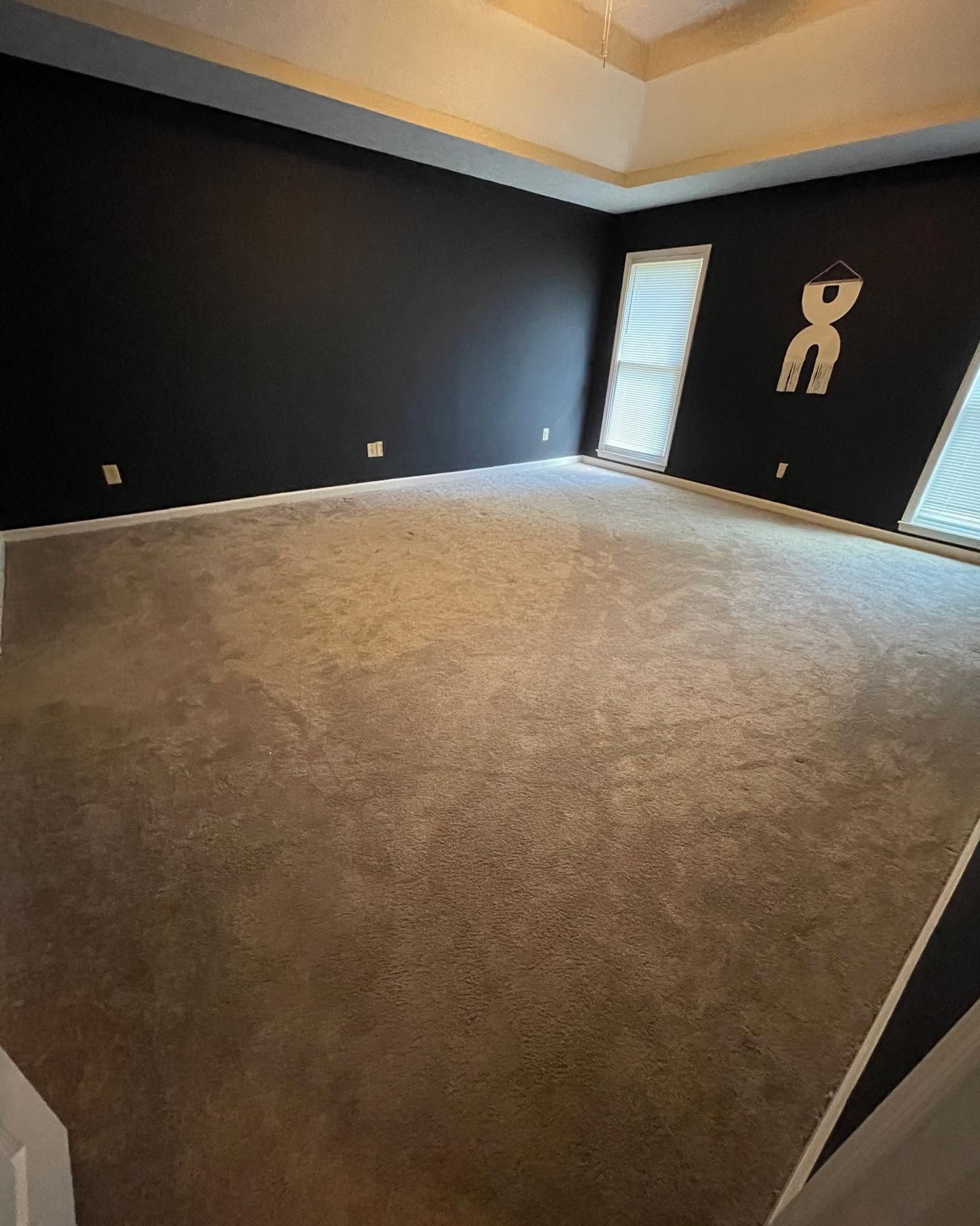 Empty carpeted room with dark walls, white trim, and a robot decal near the windows.
