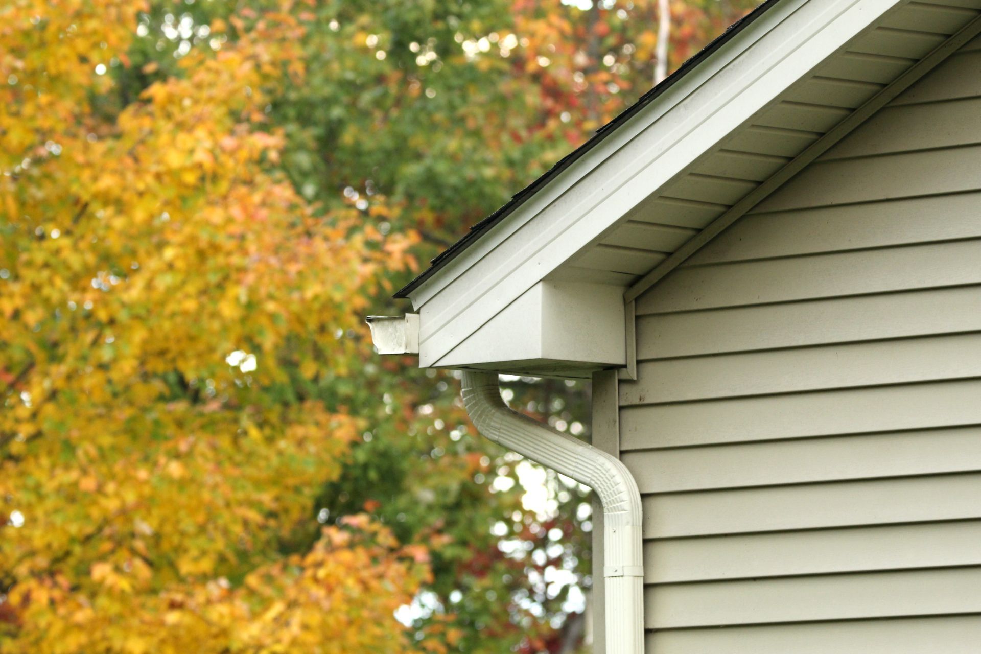 House eaves with white siding beside autumn trees with yellow-orange leaves