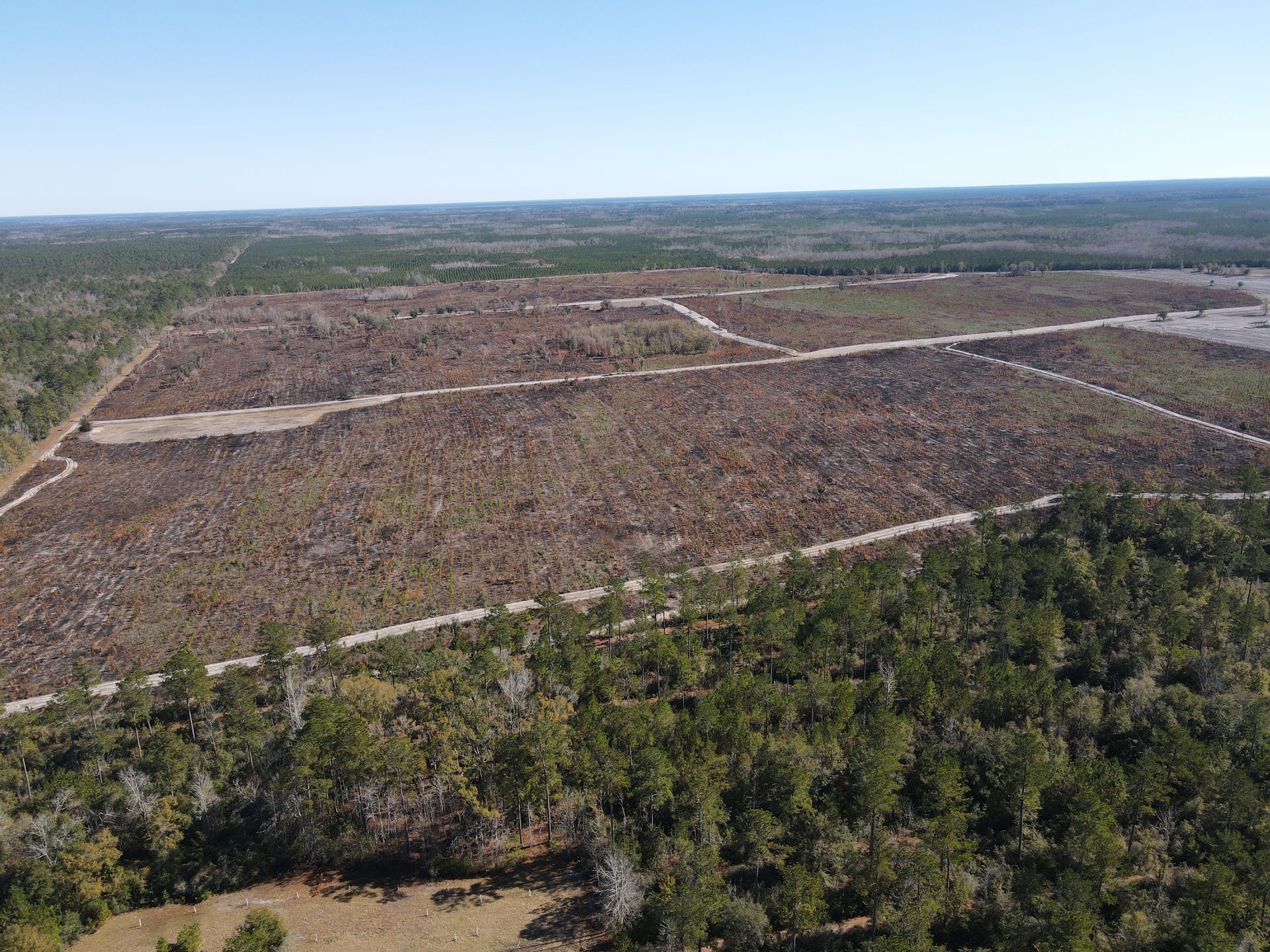 An aerial view of a large, cleared plot of land surrounded by dense pine forests under a clear blue sky.