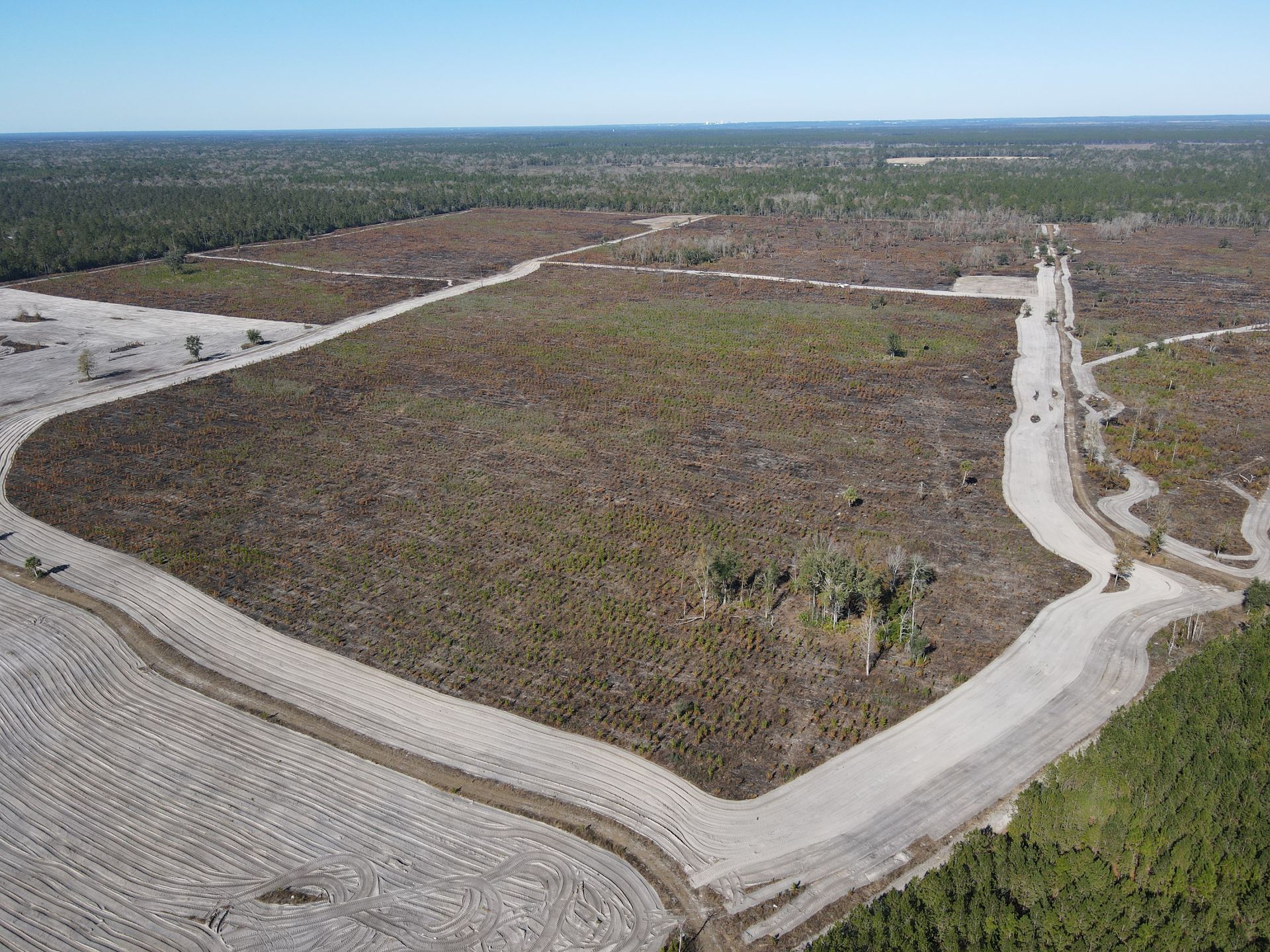 An aerial view of a cleared land plot with dirt roads bordering patches of scrubby vegetation and surrounding forest.