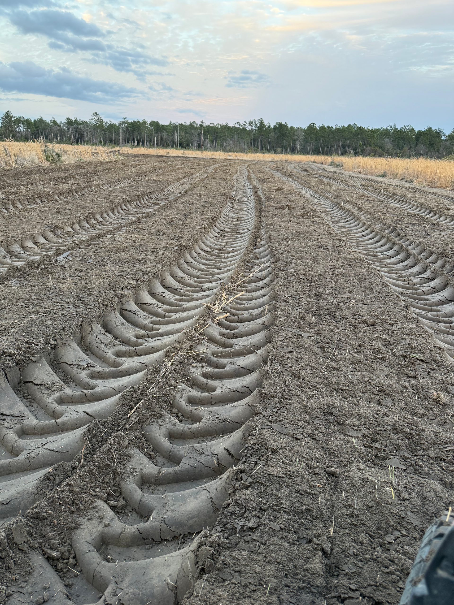 Deep tire tracks from heavy machinery are imprinted into freshly tilled, dry soil across a wide, flat agricultural field.