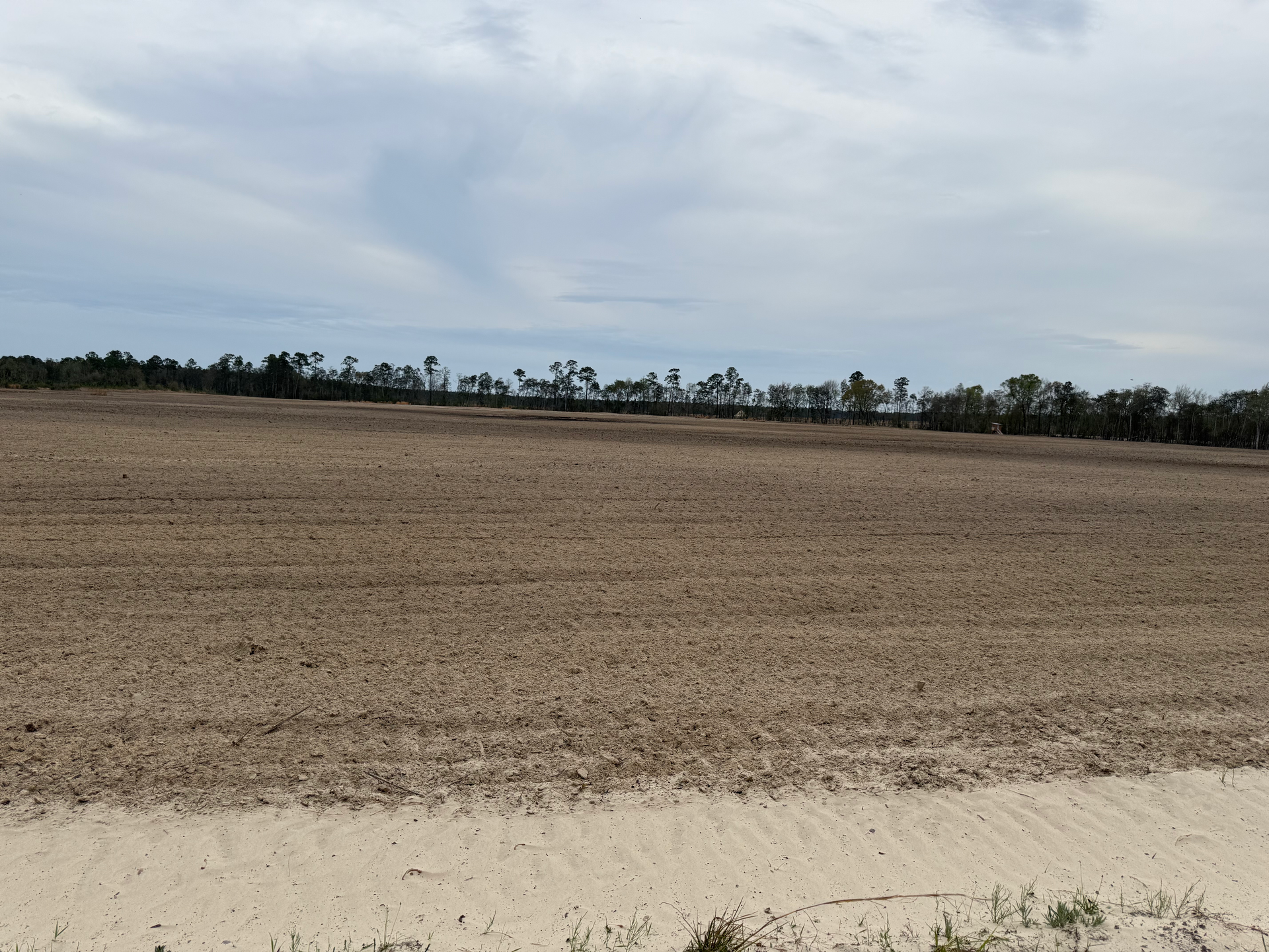A vast, freshly tilled brown agricultural field under a cloudy sky, with a line of trees in the background.