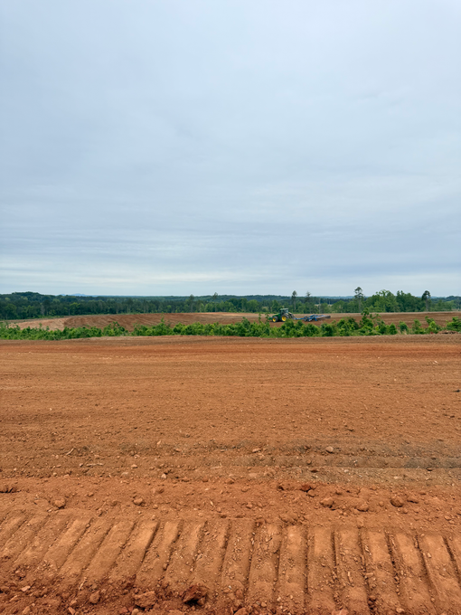 A wide, freshly cleared plot of red clay soil under a cloudy sky, with a line of trees visible in the distance.