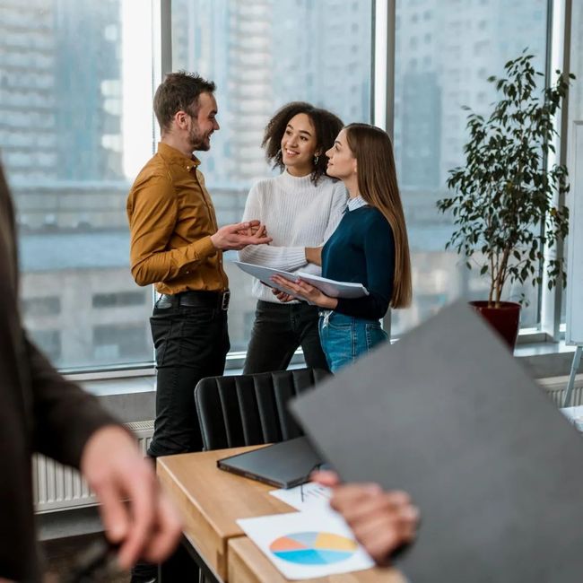 Logexma consultancy