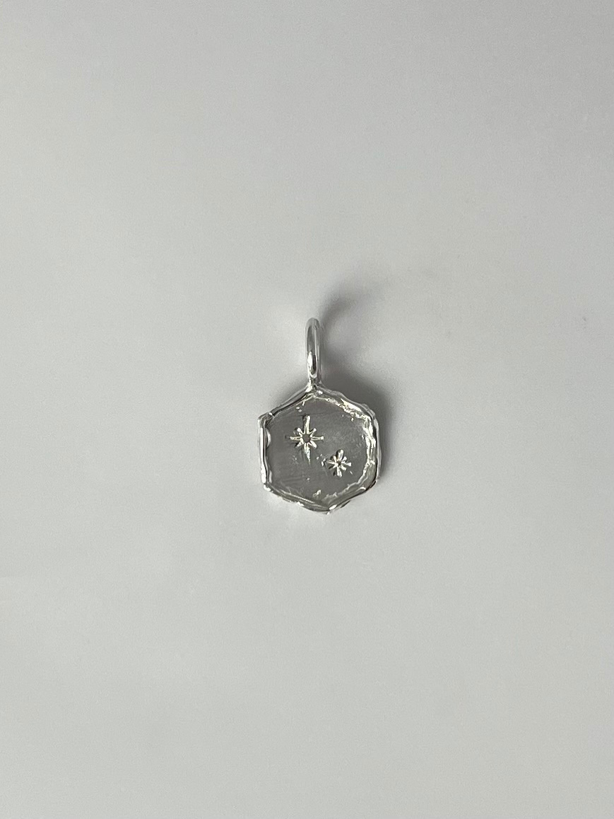 Wild Sunflower Silver Keepsake Charm