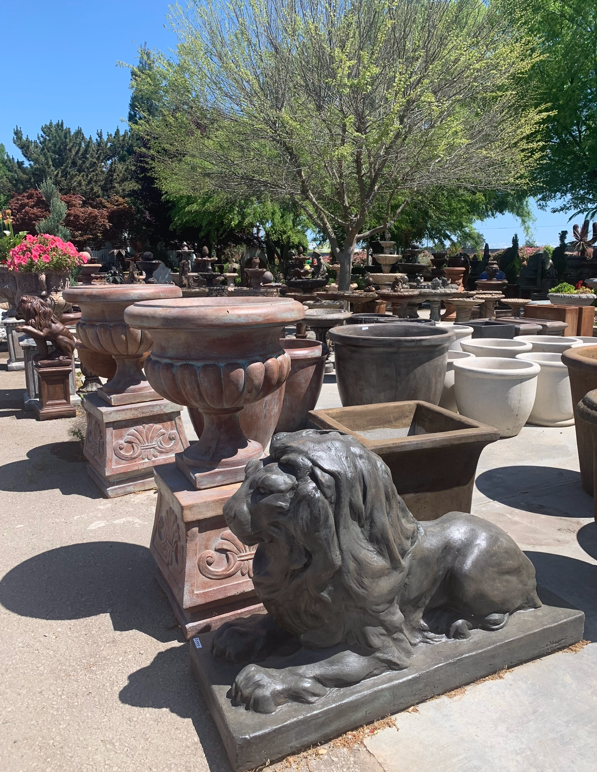 Outdoor garden display of stone lion statue and large planters in sunlight