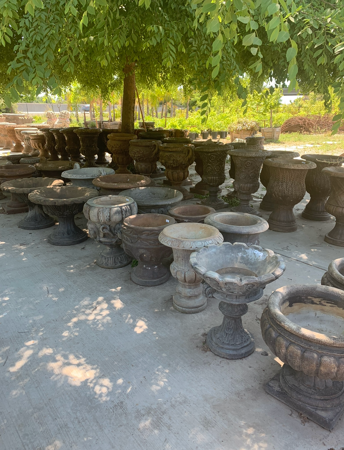 Rows of stone garden pedestals under a leafy tree in a shaded outdoor yard