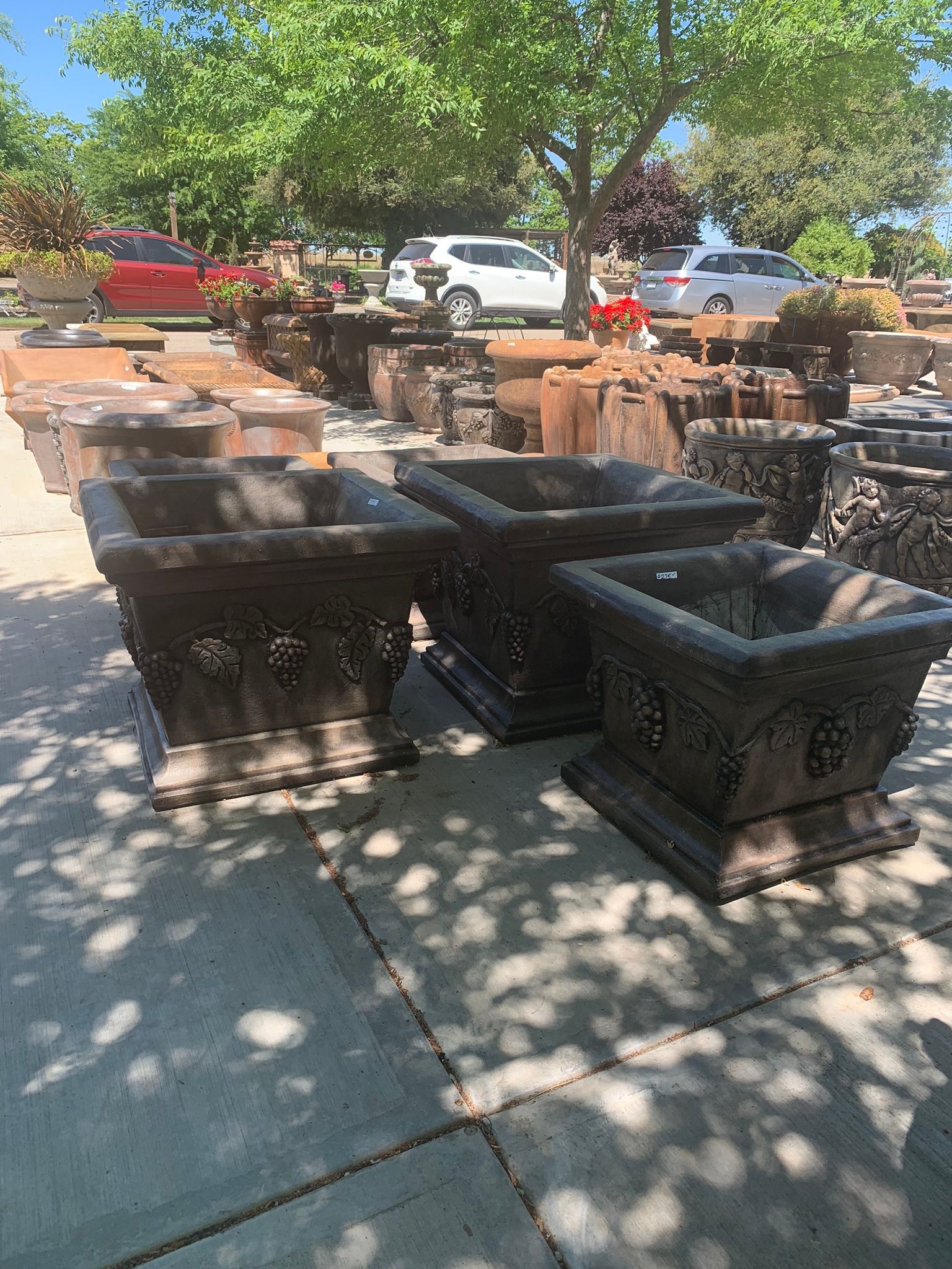 Row of square outdoor planters on a sunny sidewalk with trees and parked cars in the background