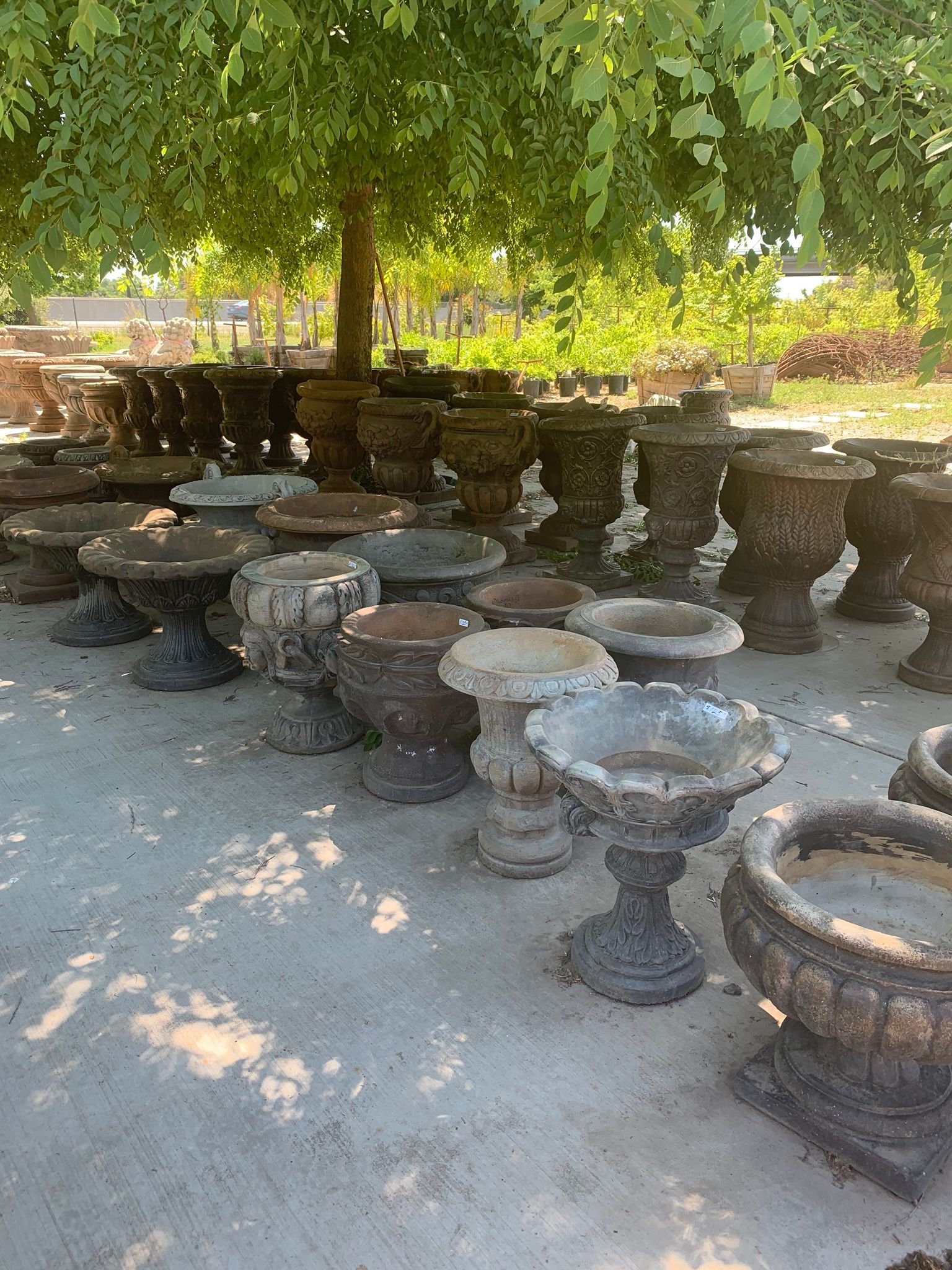 Rows of stone garden stools and tables under a leafy tree in a sunny outdoor courtyard