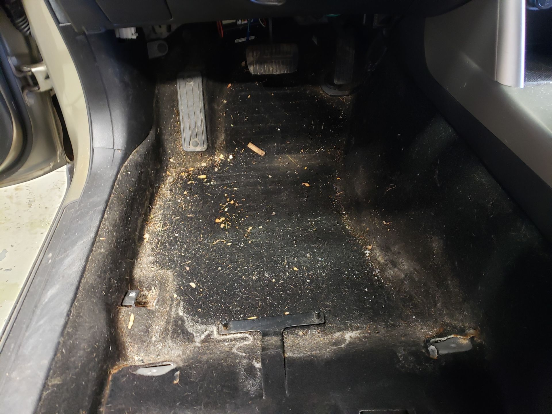 Dirty car floor covered in debris, near pedals. Black carpet.