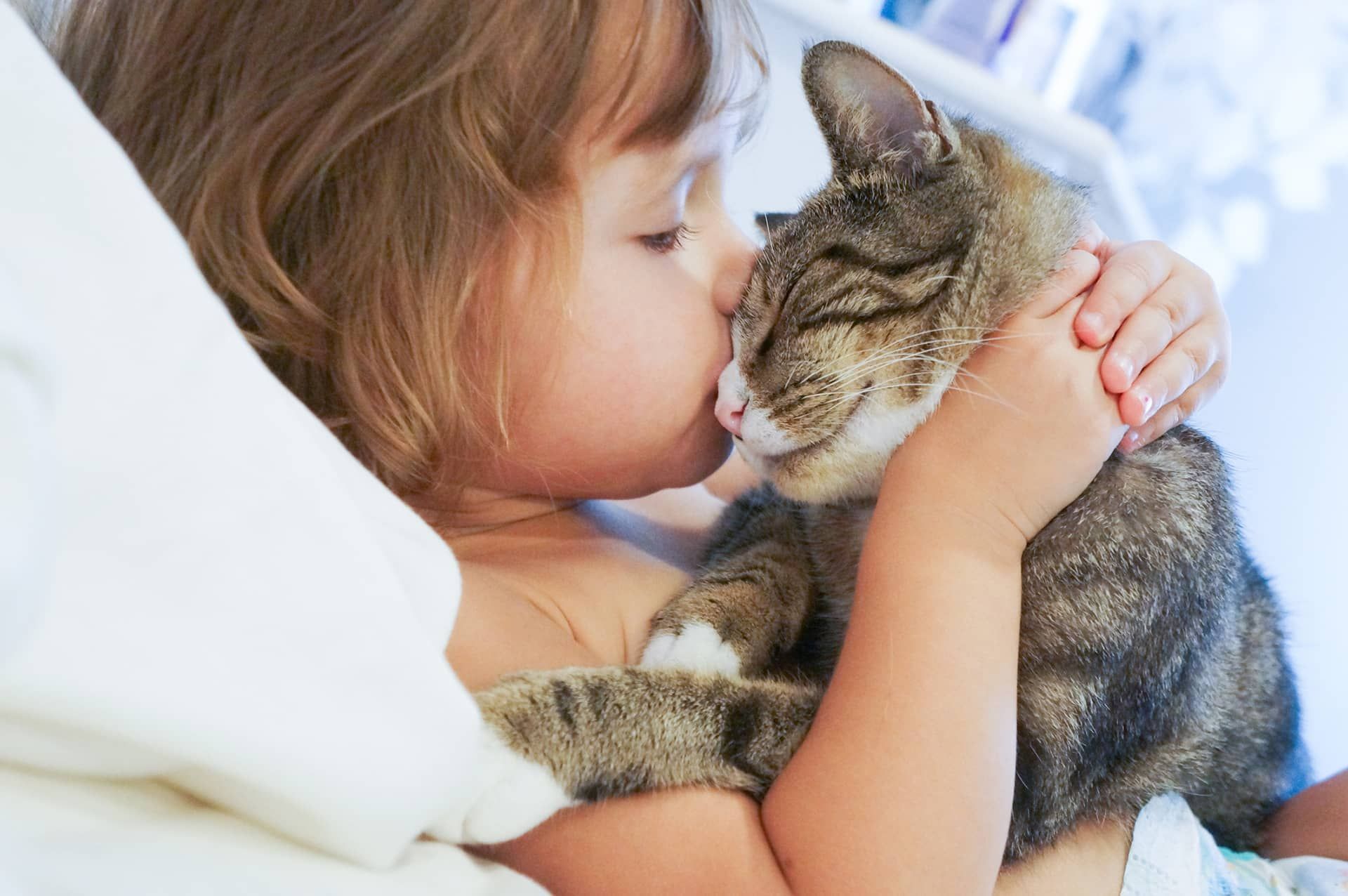 Young Girl Kissing Cat on the Head
