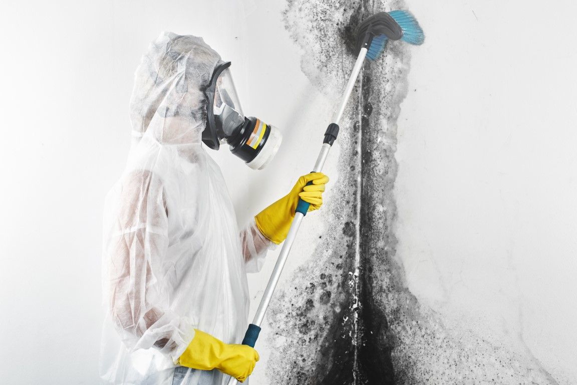 Mold remediation expert treated mold infected wall.