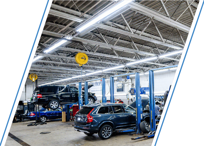Modern auto repair shop with multiple vehicles on lifts during routine maintenance.