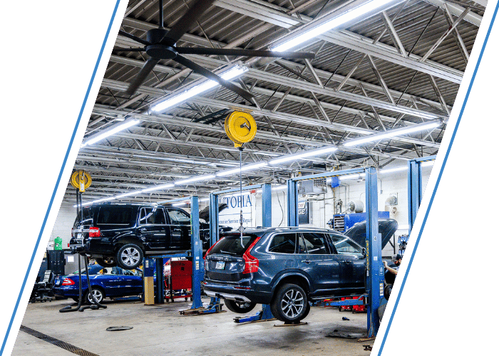Modern auto repair shop with multiple vehicles on lifts during routine maintenance.