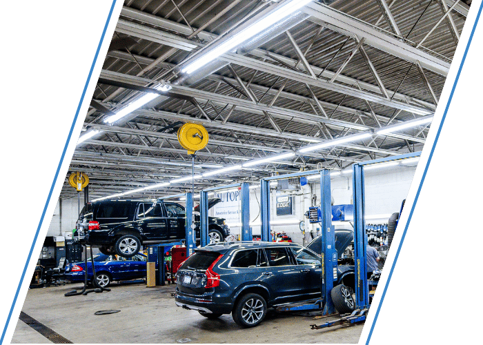 Modern auto repair shop with multiple vehicles on lifts during routine maintenance.