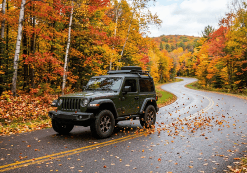 Jeep Wrangler driving along a winding wet road surrounded by vibrant fall foliage and fallen leaves