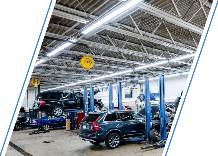 Modern auto repair shop with multiple vehicles on lifts during routine maintenance.