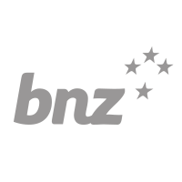 Gray BNZ logo with five stars on a white background