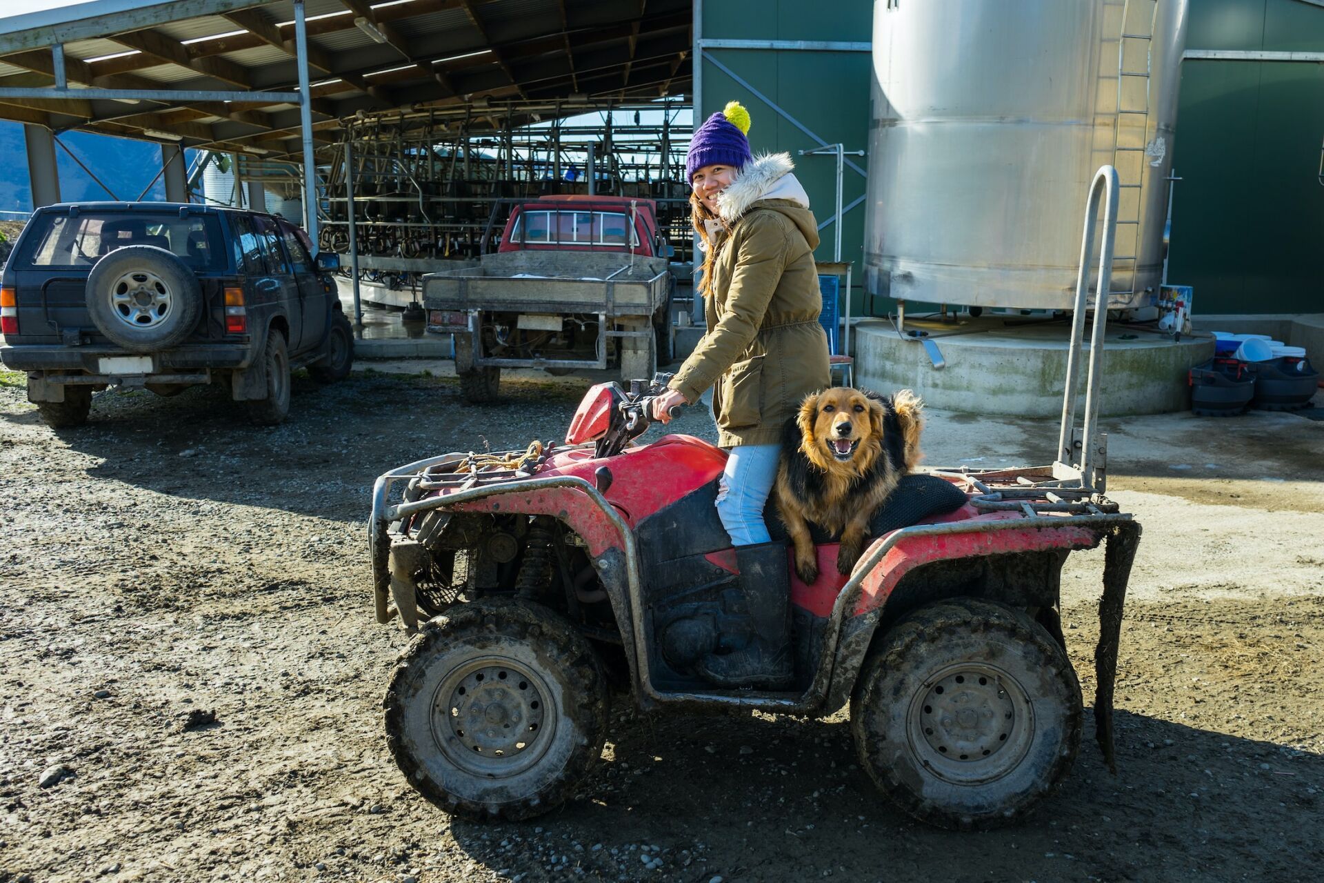 Person on a red ATV with a dog in a farmyard near silos and vehicles