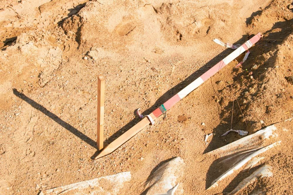 A Wooden Stick Is Laying in The Sand Next to A Skeleton — Hager Surveying In Byron Bay, NSW