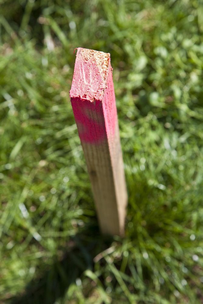 A Wooden Stick with Pink Paint on It Is Sticking out Of the Ground in The Grass — Hager Surveying In Palm Beach, QLD