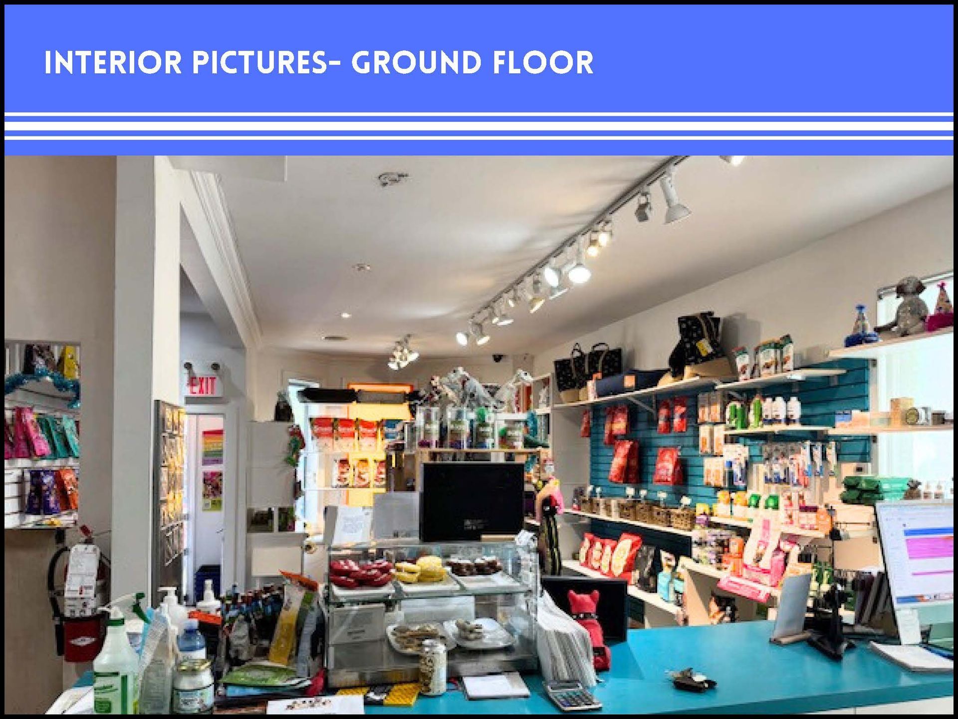 A retail store interior with teal walls, merchandise on shelves, a service counter, and overhead track lighting.