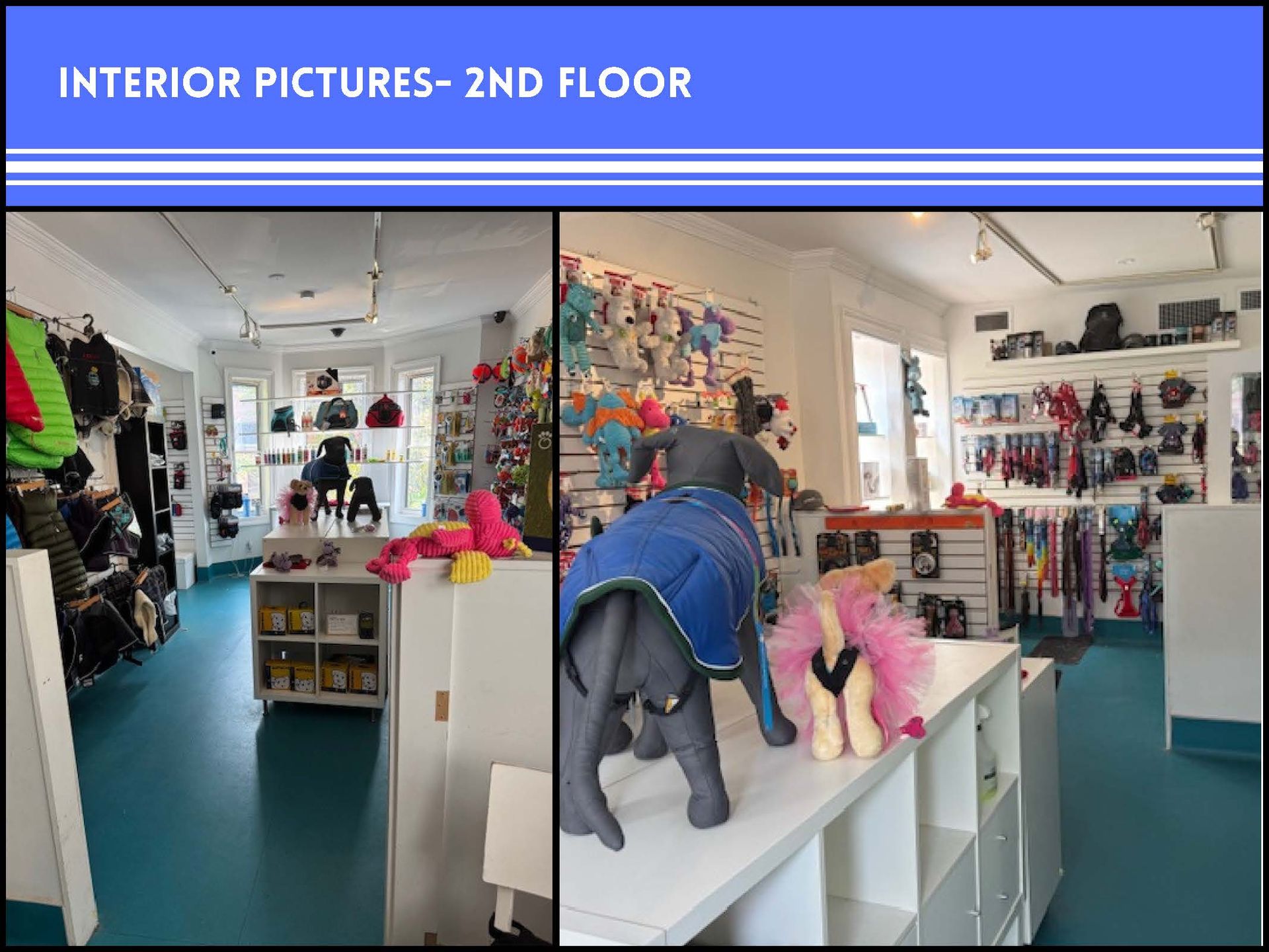 A split view showing the interior of a brightly lit pet boutique with colorful dog clothing and accessories on shelves.