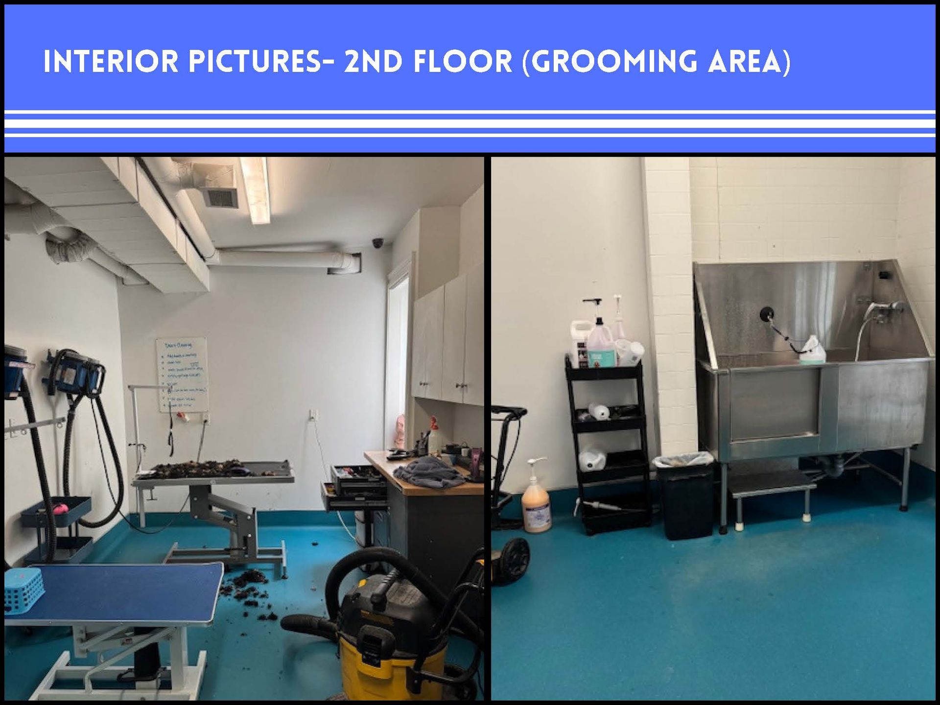 A split-view showing a pet grooming room with tables, grooming equipment, and a stainless steel bathtub on blue floors.