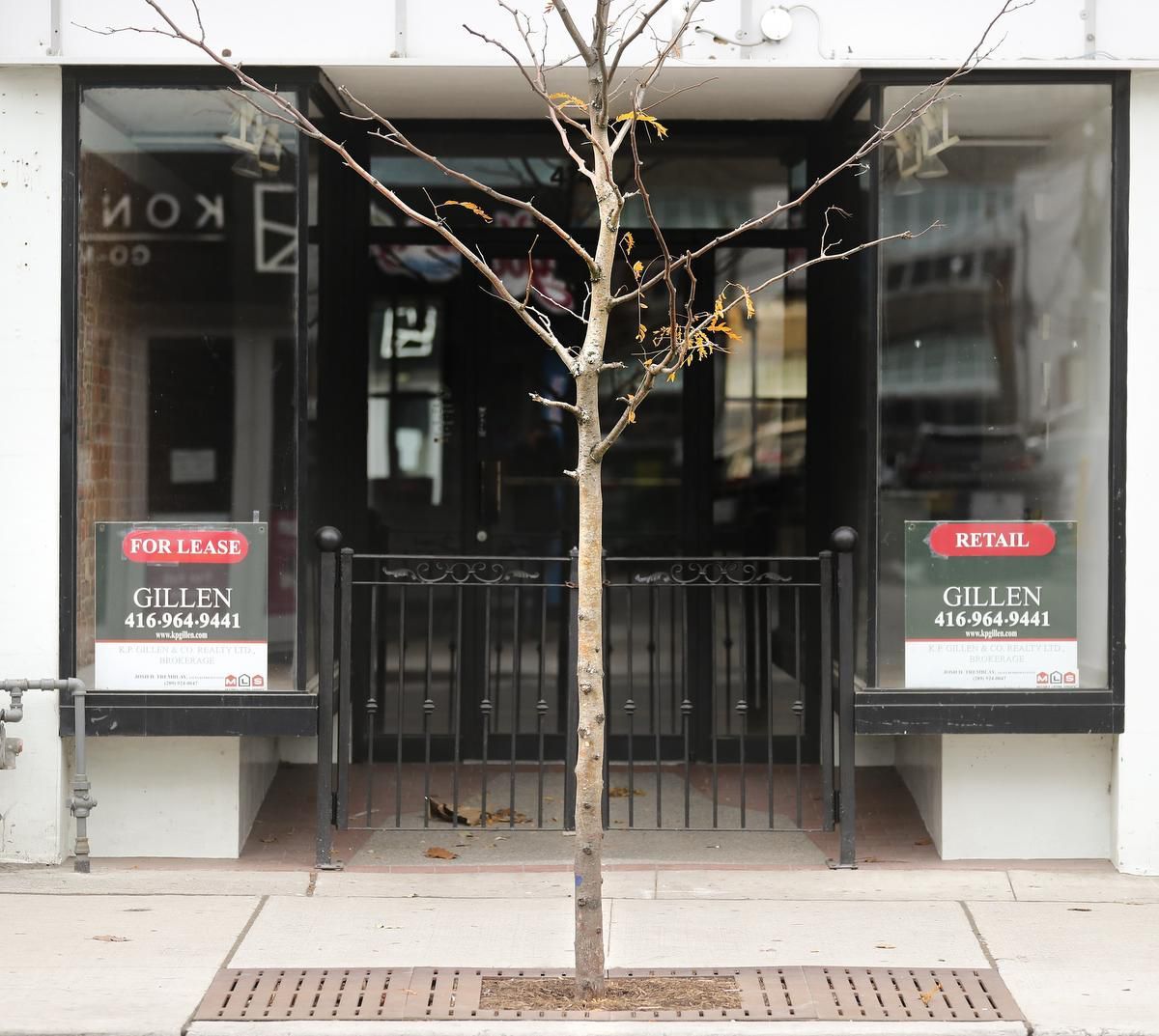A storefront with glass doors, a small tree in front, and two