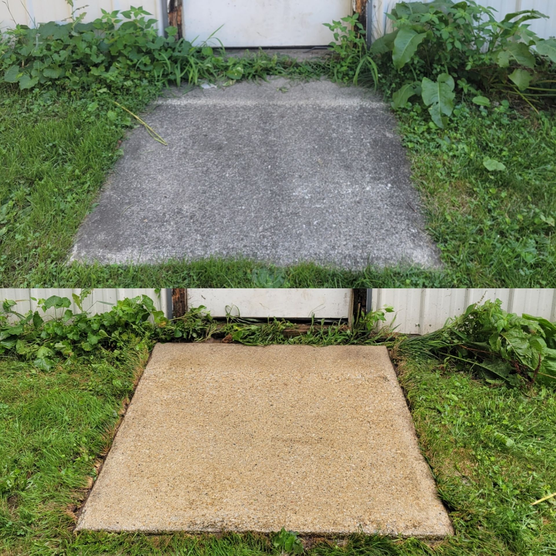 Comparison: Top, dirty concrete path; bottom, clean path. The concrete is surrounded by grass and weeds.