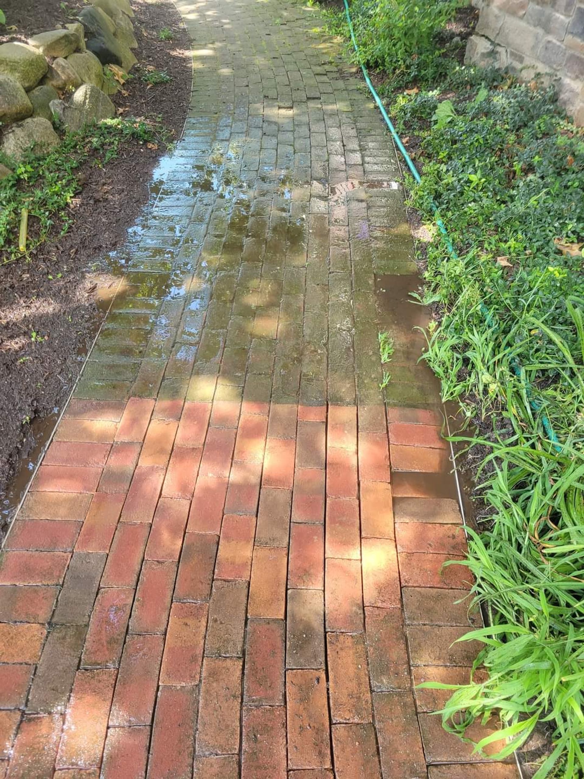 Brick walkway with wet spots, surrounded by green plants and a small rock wall.
