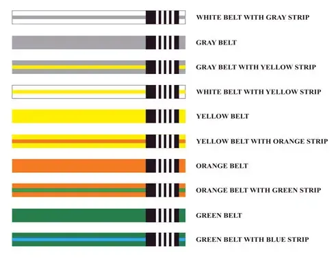 Belt ranking system: White to green, with various stripe colors indicating rank advancement.