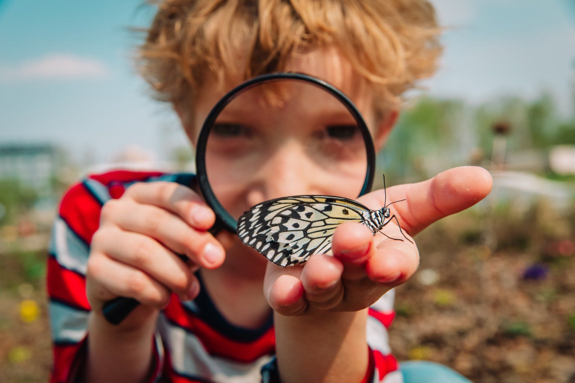 Boy holding a butterfly — Daytona Beach, FL — Monarch Academy