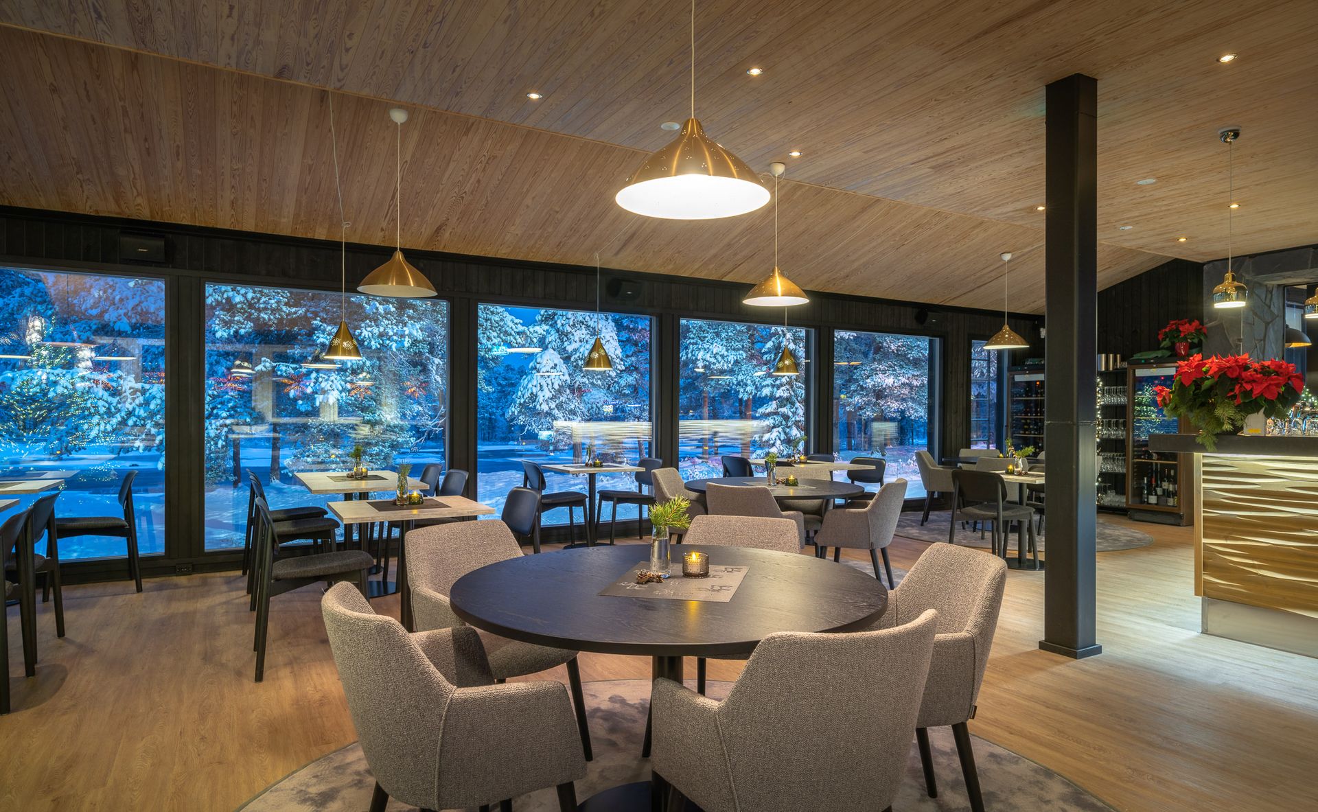 Winterreis in Noord Lapland, 5 dagen Go North