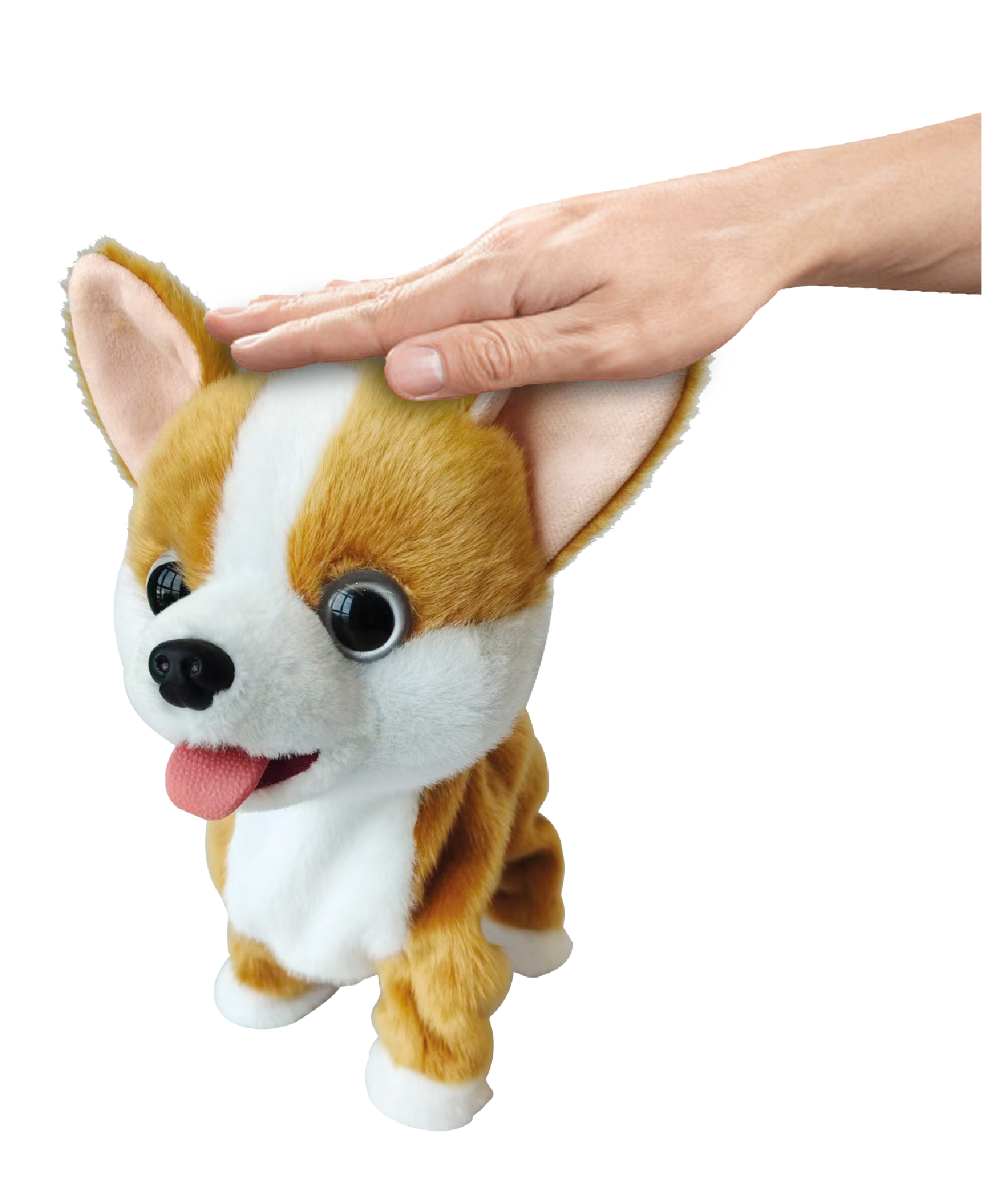 Dorable CORGI