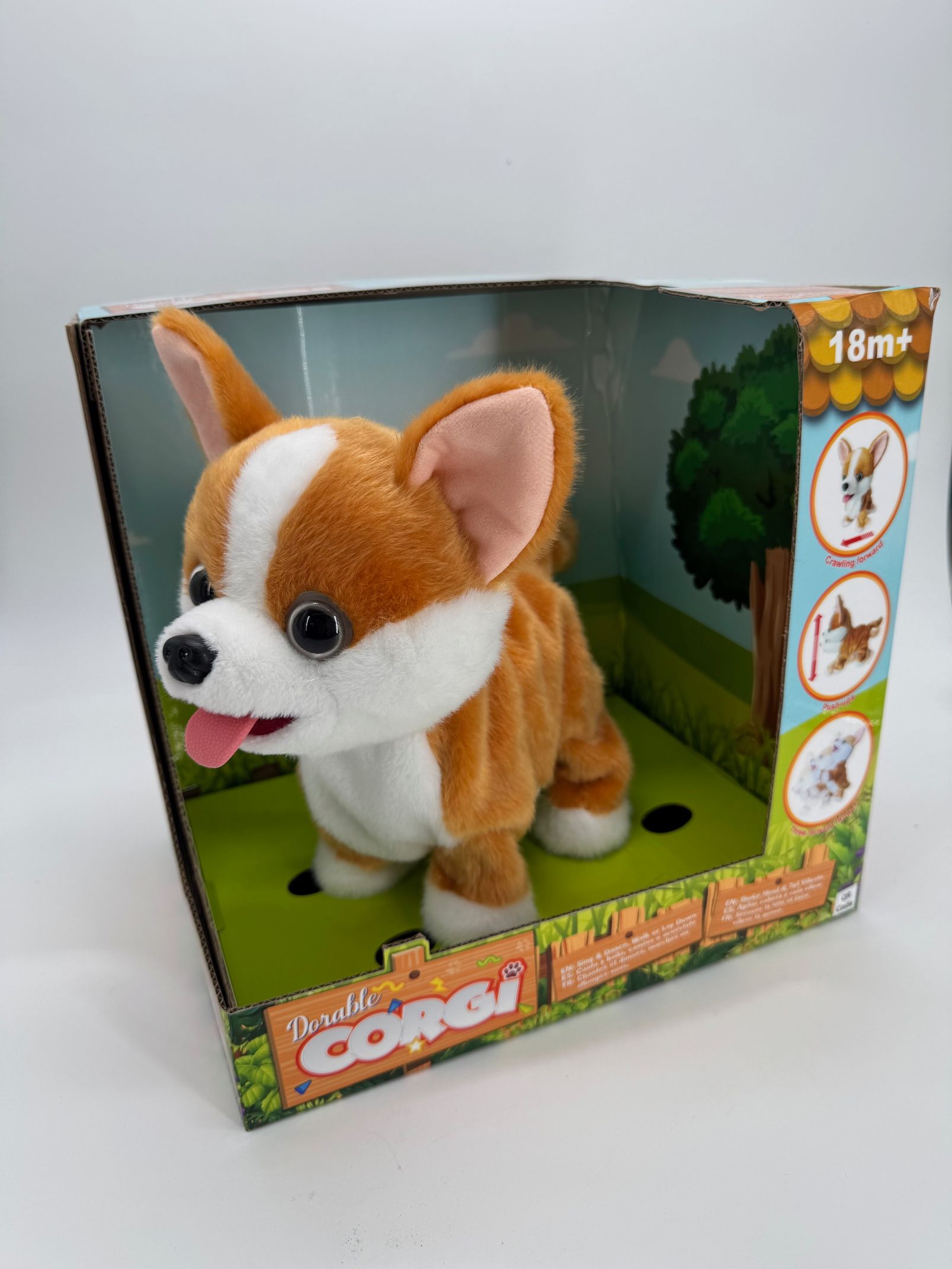 Dorable CORGI