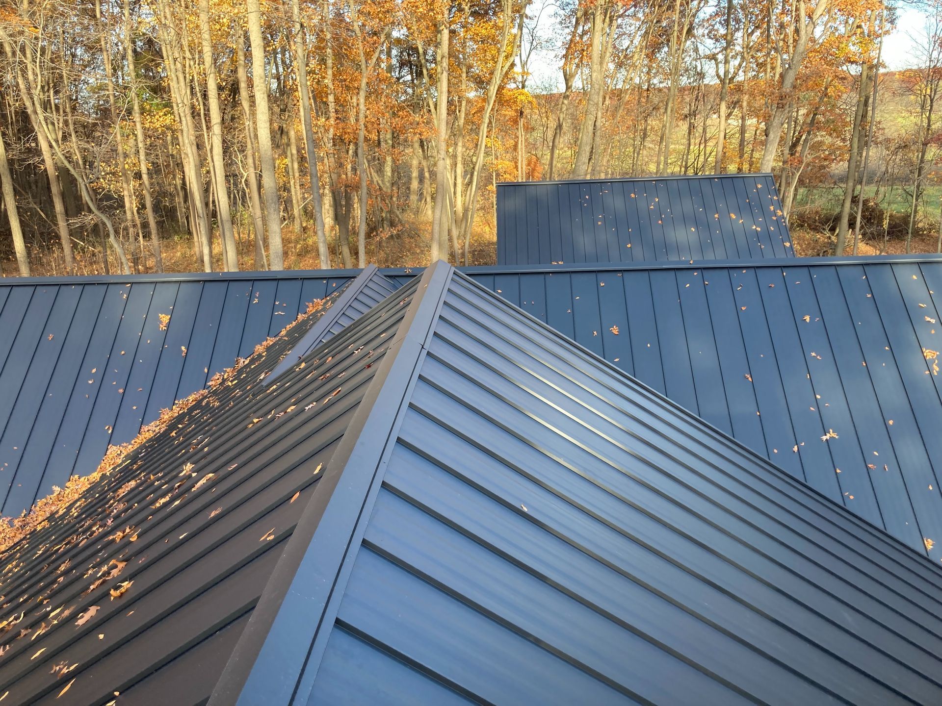Dark metal roof with fallen leaves, trees in the background.