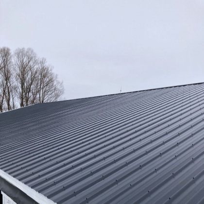 Gray corrugated metal roof against a cloudy sky with bare trees in the background.