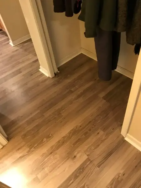 Wood-look flooring in a hallway with white trim and a closet opening with hanging clothes visible.