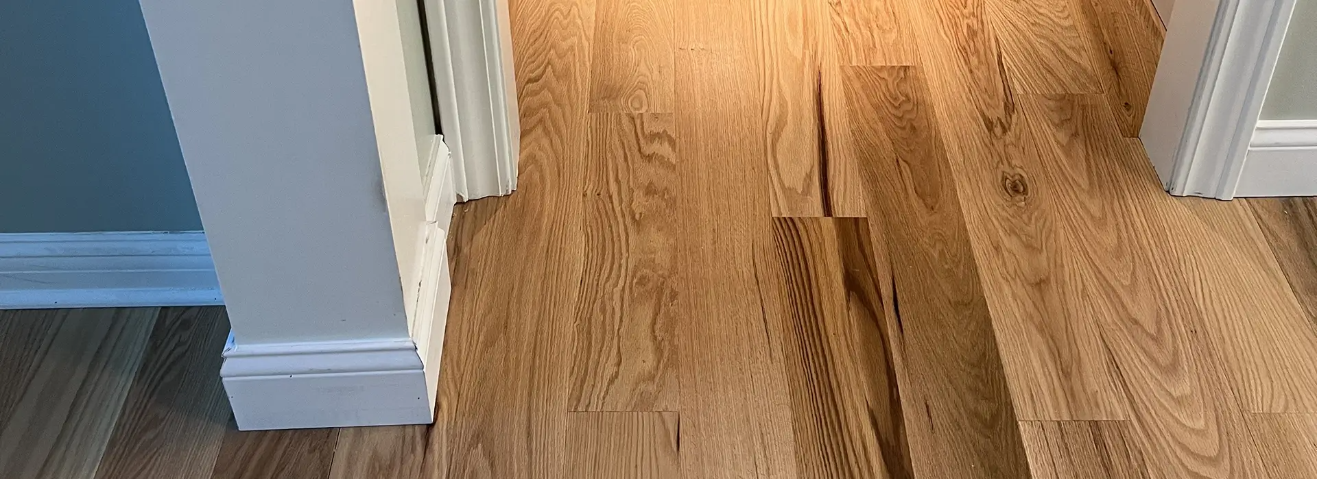Wood flooring in a hallway, bordered by white trim and a painted wall.