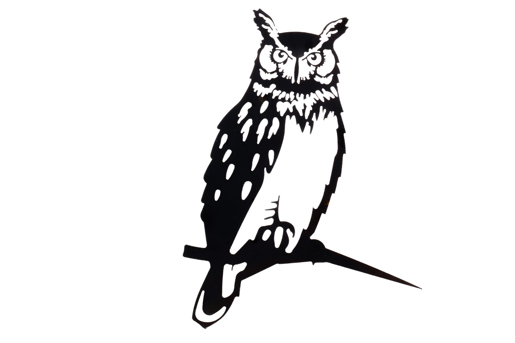 Olive the Owl