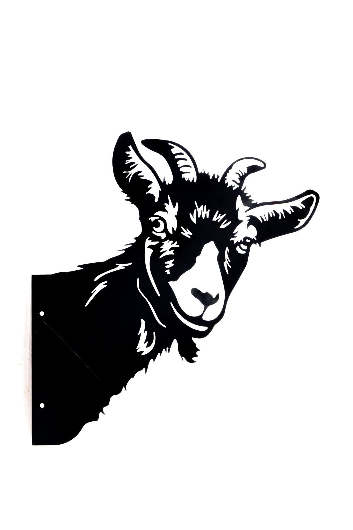 Billy Goat