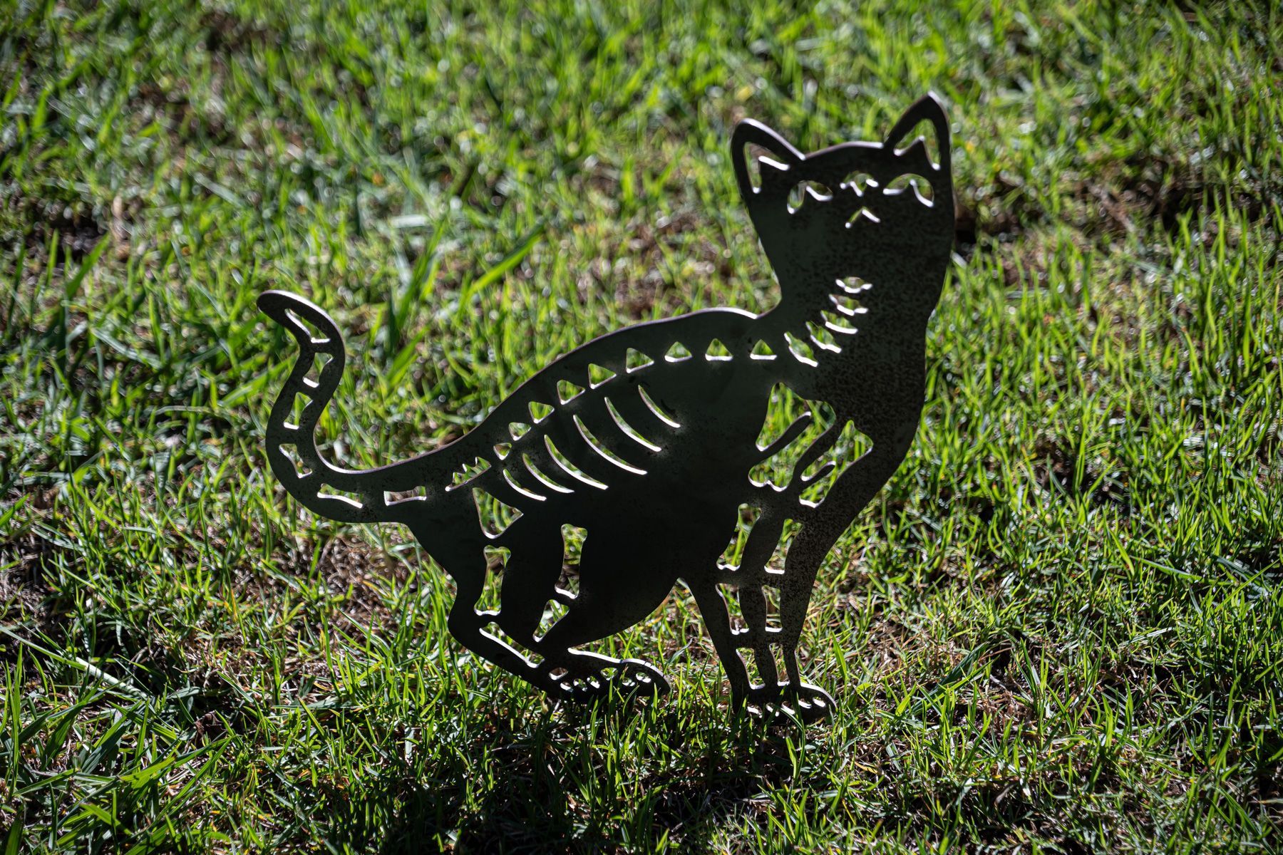Skeleton Cats (set of 2)