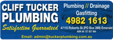 Plumber in Emerald
