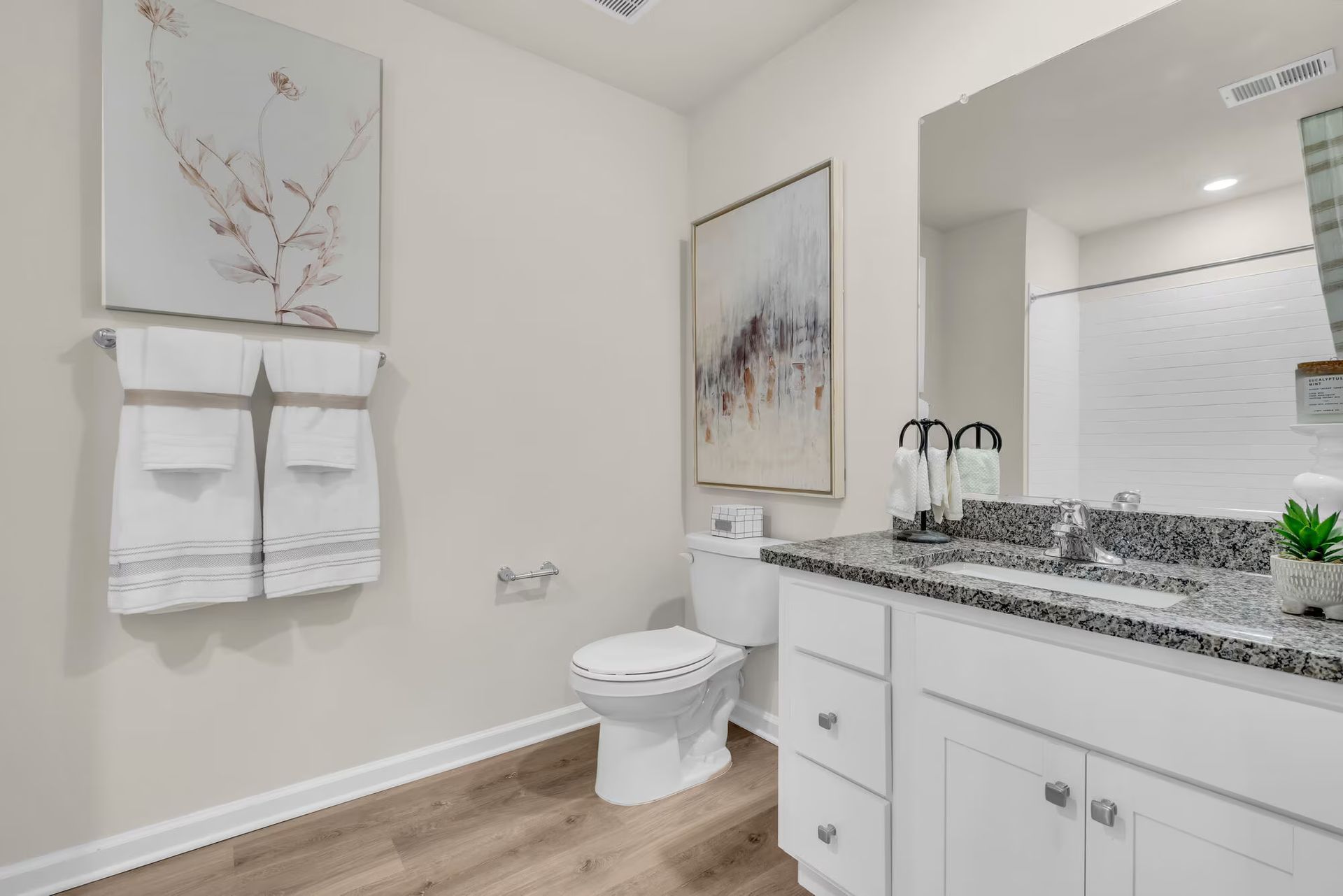 Modern bathroom with white vanity, toilet, granite countertop, wall art, and wood-look flooring