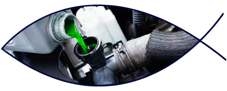 Coolant being poured into radiator reservoir